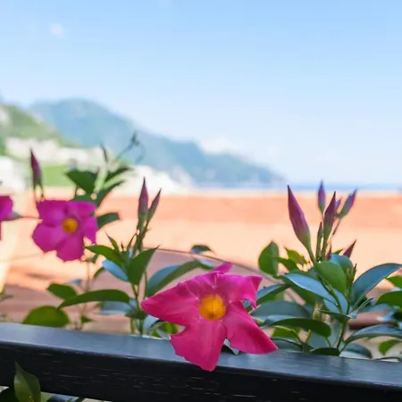 Zagara E Sirene Apartment Amalfi